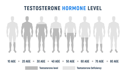 Dihydrotestosterone DHT Male Hair Loss | Block High DHT Levels & DHT Sensitivity | Hair Loss Treatments | Hair Doctors Melbourne & Sydney